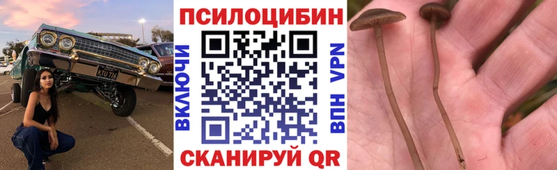 Галлюциногенные грибы Cubensis  Балаково 