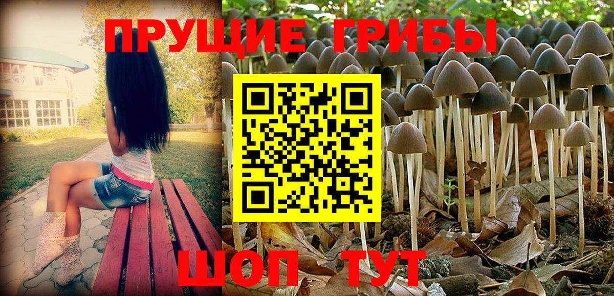 Галлюциногенные грибы ЛСД  как найти наркотики  Псилоцибиновые грибы прущие грибы  Балаково  Вход с VPN 